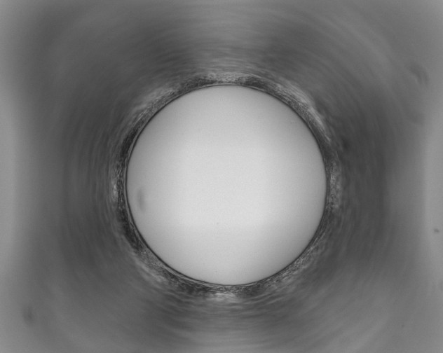 X0000111790114200907230957