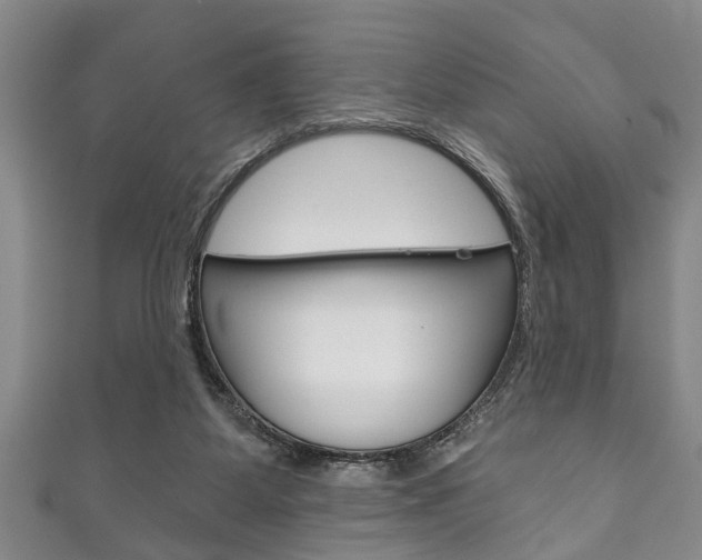X0000111790115200907230957