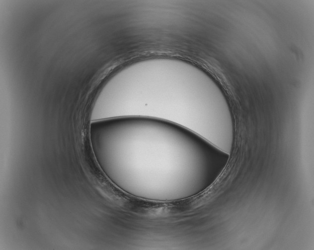 X0000111790116200907230957