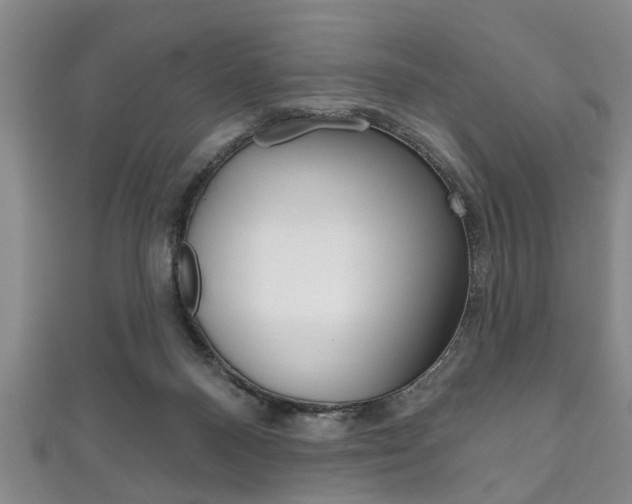 X0000111790120200907230957