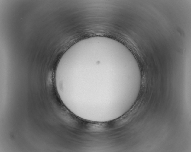 X0000111790122200907230957