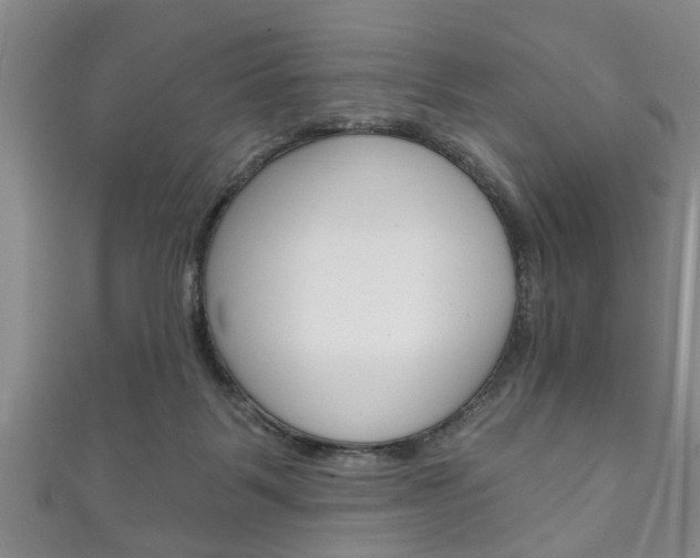 X0000111790123200907230957
