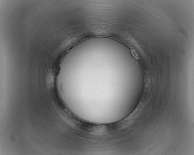 X0000111790124200907230957