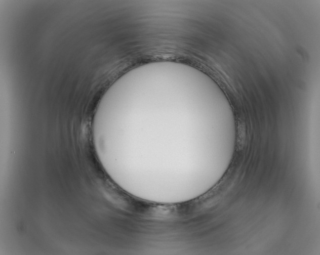 X0000111790126200907230956