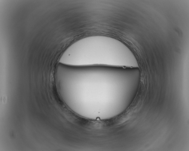 X0000111790127200907230956