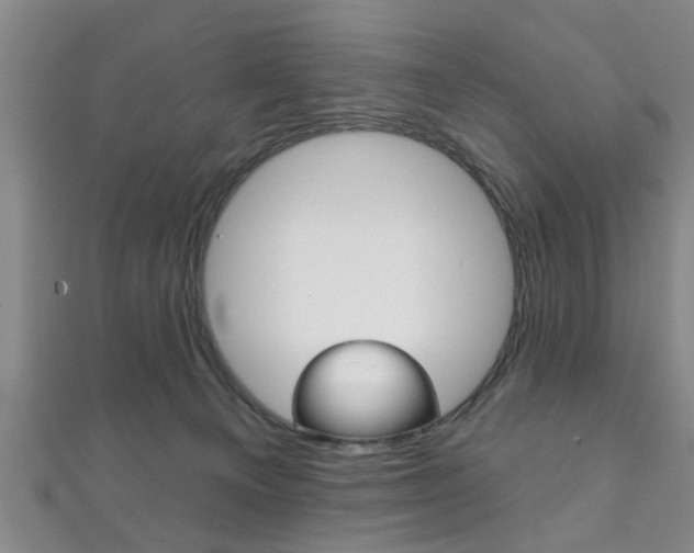 X0000111790129200907230956
