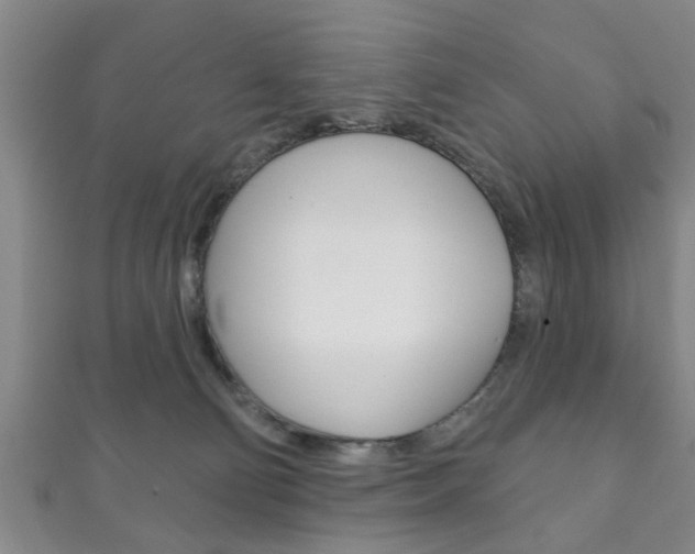 X0000111790130200907230956