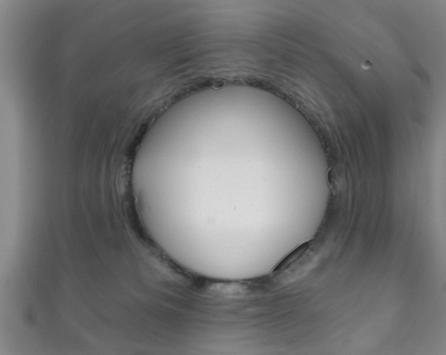 X0000111790133200907230956