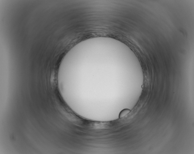 X0000111790134200907230956