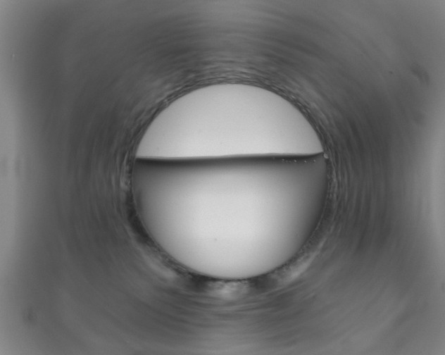 X0000111790135200907230956