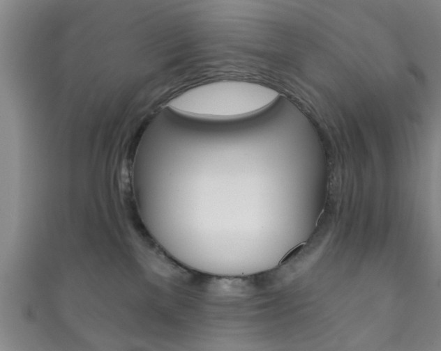 X0000111790137200907230956
