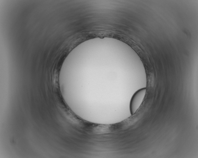 X0000111790138200907230956