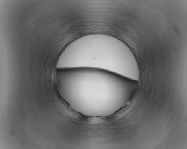 X0000111790141200907230956