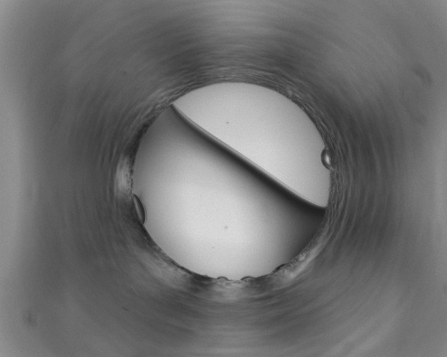 X0000111790143200907230956