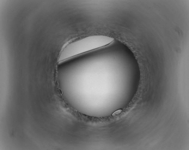 X0000111790144200907230956