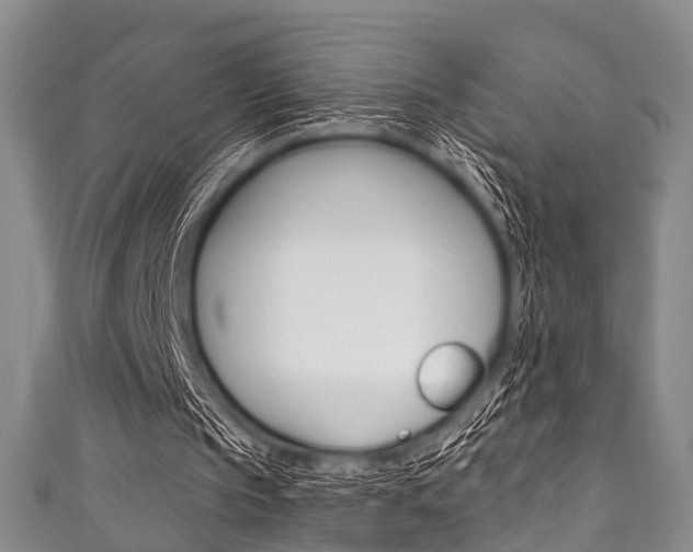 X0000111790145200907230956