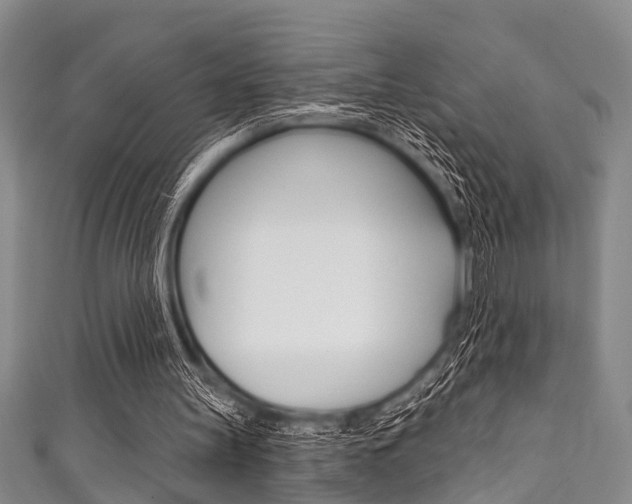 X0000111790147200907230956