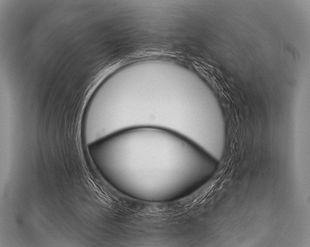 X0000111790148200907230956