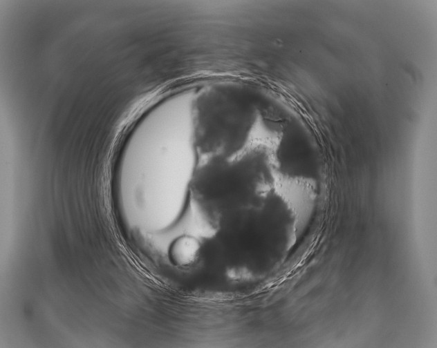 X0000111790149200907230956