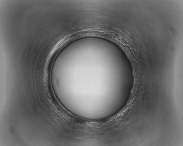 X0000111790150200907230956