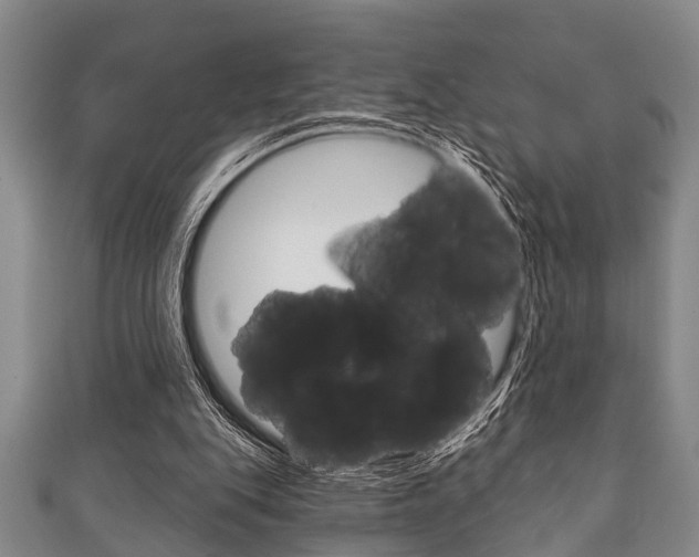 X0000111790151200907230956