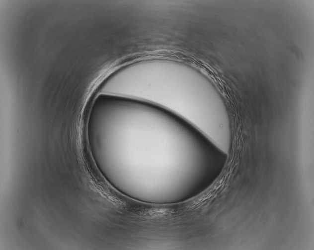 X0000111790152200907230956