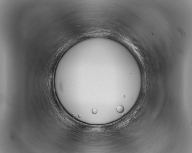 X0000111790153200907230956