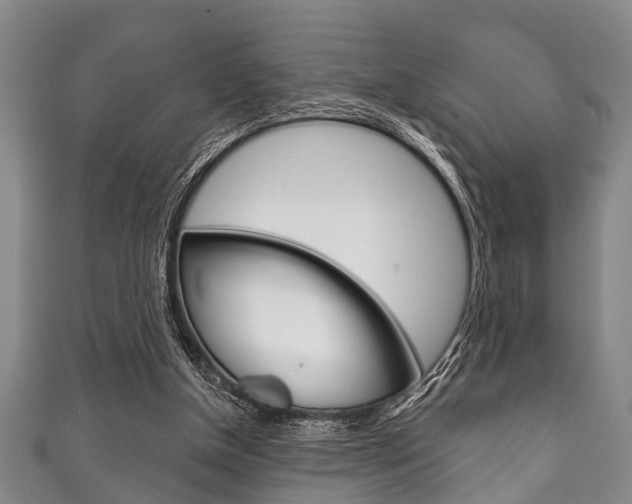 X0000111790154200907230956
