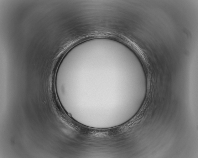 X0000111790155200907230956