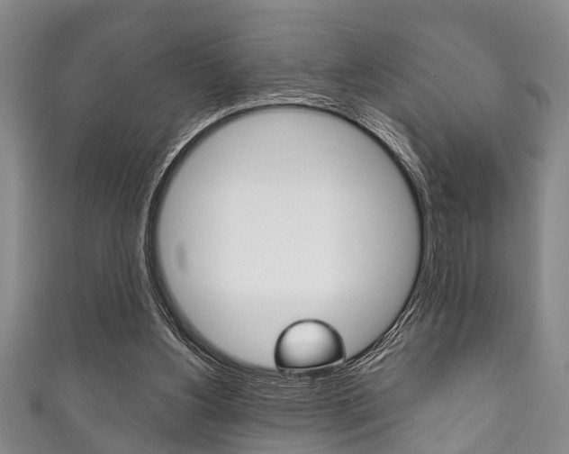 X0000111790156200907230956