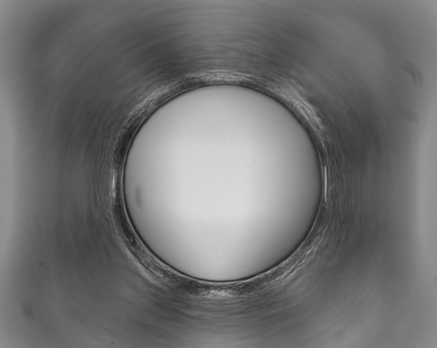 X0000111790157200907230956
