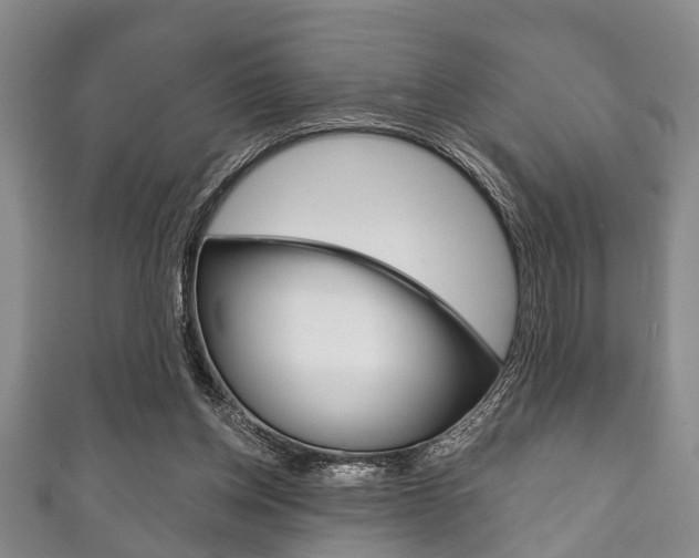 X0000111790158200907230956