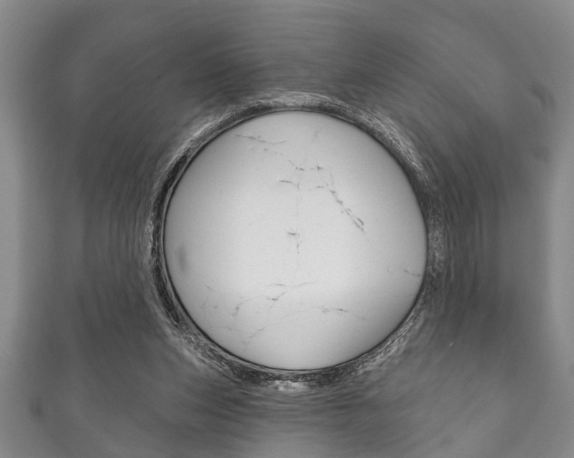 X0000111790159200907230956