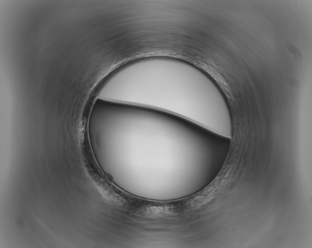 X0000111790160200907230956