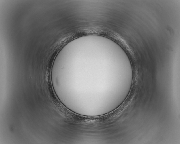X0000111790161200907230956