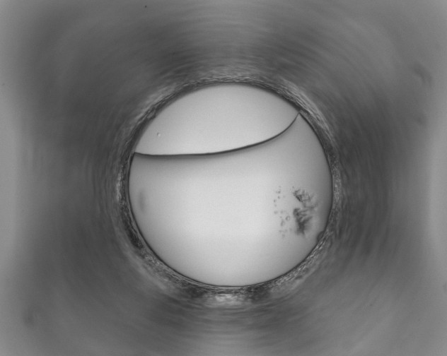 X0000111790163200907230956