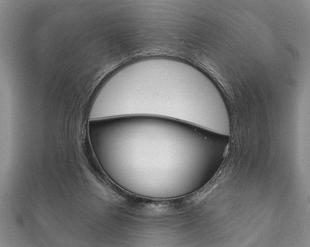 X0000111790164200907230956