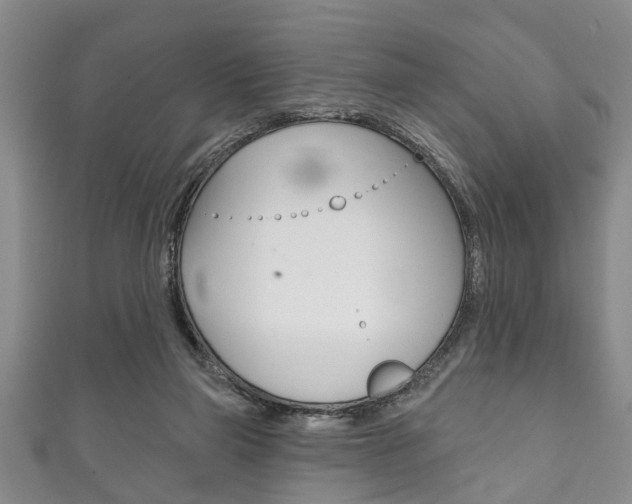 X0000111790165200907230956