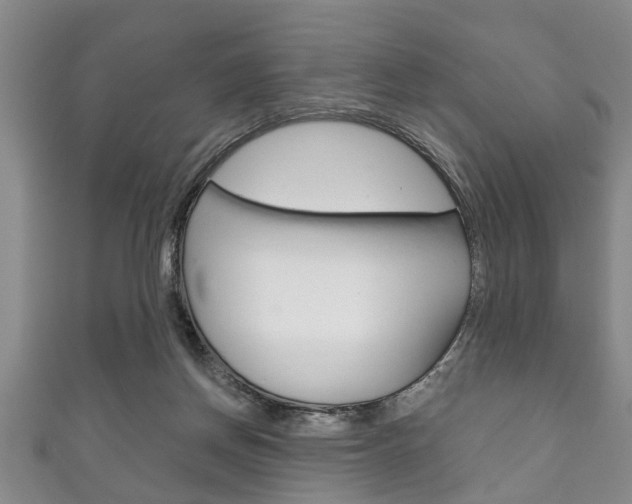 X0000111790166200907230956