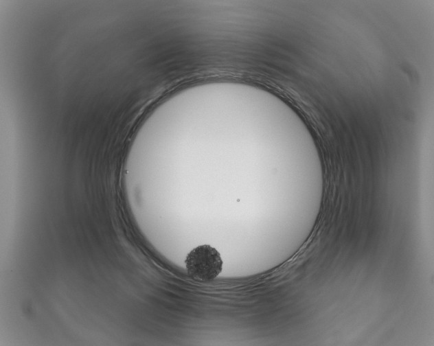X0000111790168200907230956