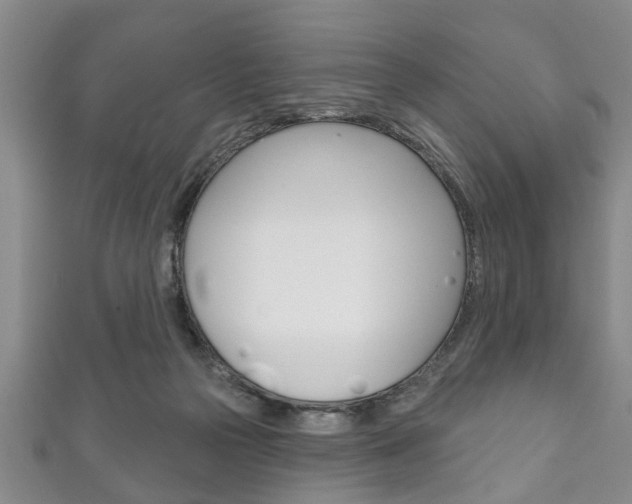 X0000111790169200907230956