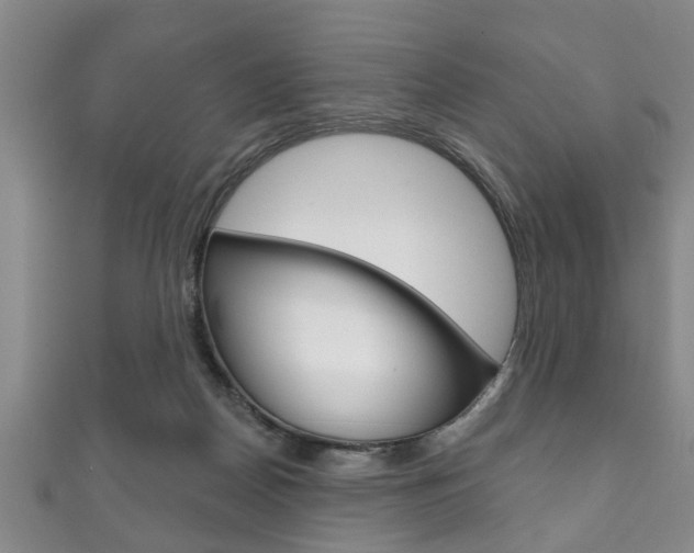 X0000111790170200907230956