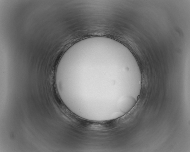 X0000111790171200907230956