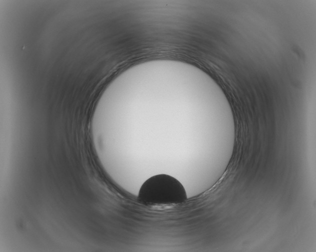 X0000111790172200907230956