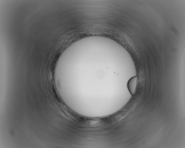 X0000111790173200907230956