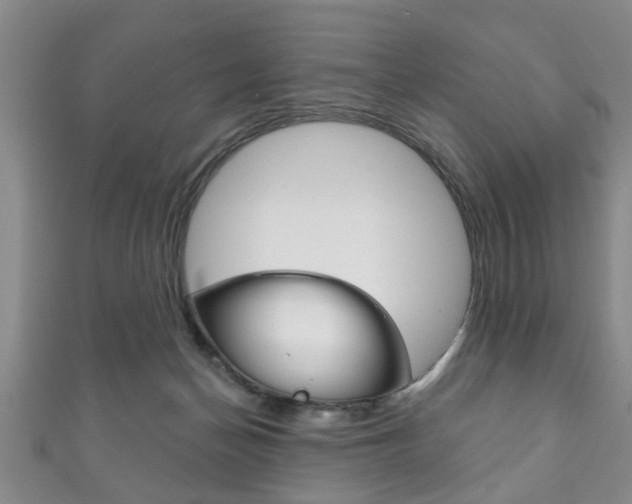 X0000111790174200907230956