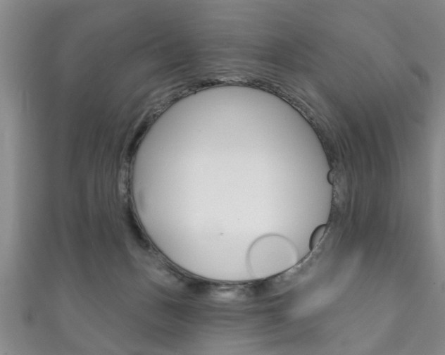 X0000111790175200907230956