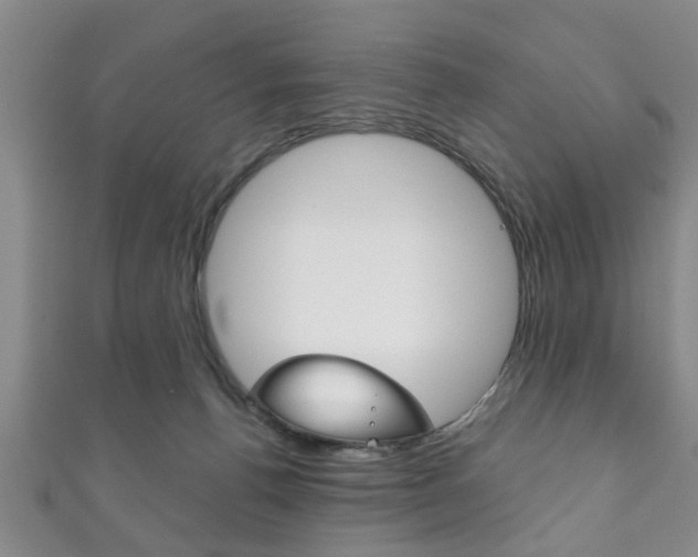 X0000111790176200907230956