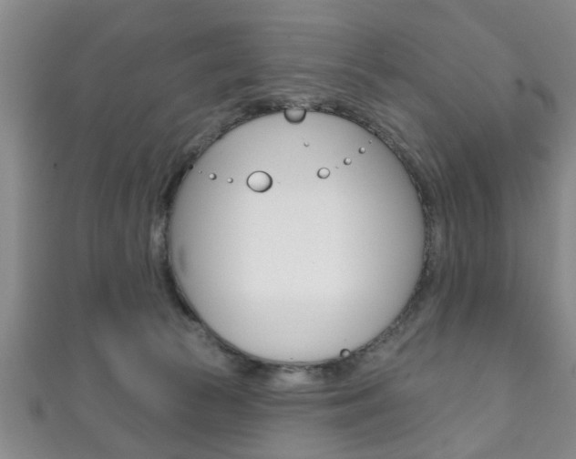 X0000111790177200907230956