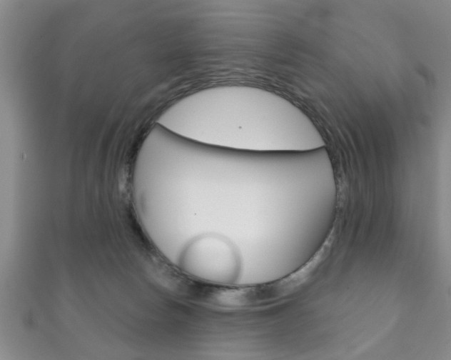 X0000111790178200907230956